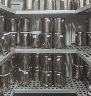 che-gelats-helados-artesanales-palma-10